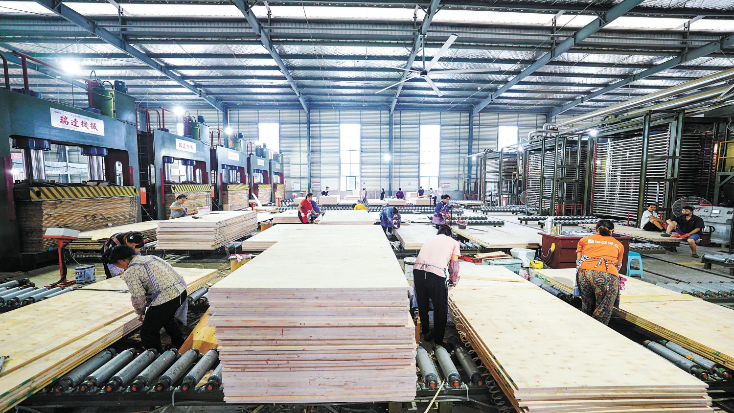 從綠水青山到金山銀山 貴州榕江如何將杉木打造成富民強縣大產業